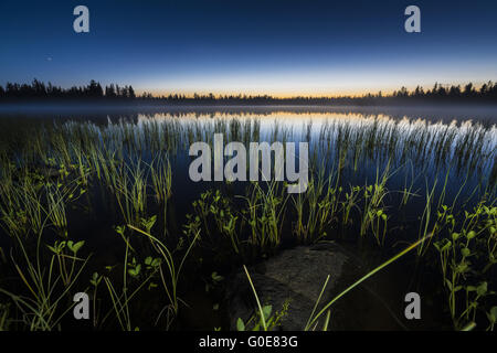 Atmosfera serale, Lapponia, Svezia Foto Stock