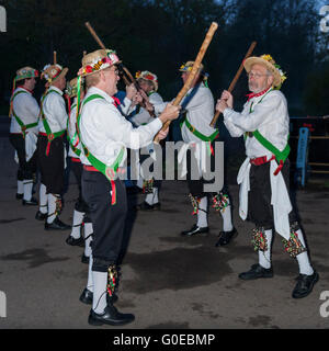 Watford, Regno Unito. 1 maggio 2016. Il Woodside Morris uomini eseguono un tradizionale Morris Dance in Cassiobury Park, Watford nel nord ovest di Londra, all alba per celebrare il giorno di maggio e la venuta di estate in rituali che risalgono a centinaia di anni. La tradizione vuole che il rituale di ballare in questo momento offre un caldo e fertile estate. Portando i bastoni e i fazzoletti da naso o da taschino di purificare l'aria e per il risveglio della terra, i ballerini sono accompagnati da musicisti che suonano strumenti tradizionali. Credito: Stephen Chung / Alamy Live News Foto Stock