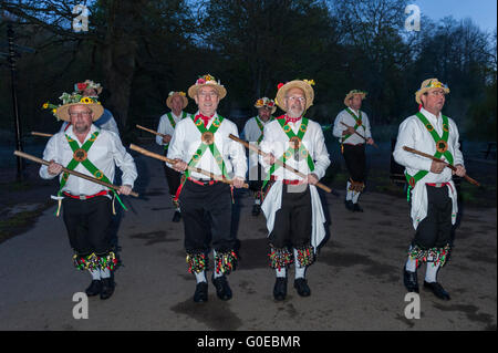 Watford, Regno Unito. 1 maggio 2016. Il Woodside Morris uomini eseguono un tradizionale Morris Dance in Cassiobury Park, Watford nel nord ovest di Londra, all alba per celebrare il giorno di maggio e la venuta di estate in rituali che risalgono a centinaia di anni. La tradizione vuole che il rituale di ballare in questo momento offre un caldo e fertile estate. Portando i bastoni e i fazzoletti da naso o da taschino di purificare l'aria e per il risveglio della terra, i ballerini sono accompagnati da musicisti che suonano strumenti tradizionali. Credito: Stephen Chung / Alamy Live News Foto Stock