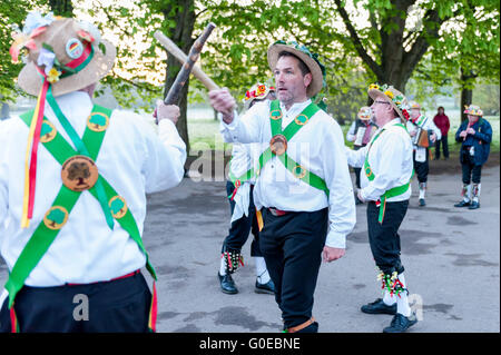 Watford, Regno Unito. 1 maggio 2016. Il Woodside Morris uomini eseguono un tradizionale Morris Dance in Cassiobury Park, Watford nel nord ovest di Londra, all alba per celebrare il giorno di maggio e la venuta di estate in rituali che risalgono a centinaia di anni. La tradizione vuole che il rituale di ballare in questo momento offre un caldo e fertile estate. Portando i bastoni e i fazzoletti da naso o da taschino di purificare l'aria e per il risveglio della terra, i ballerini sono accompagnati da musicisti che suonano strumenti tradizionali. Credito: Stephen Chung / Alamy Live News Foto Stock