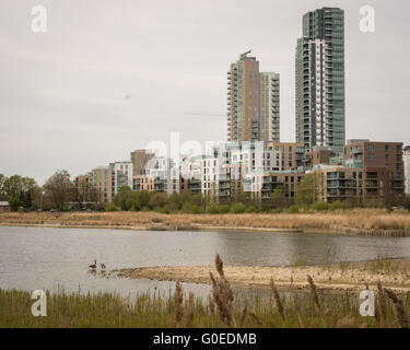 Londra REGNO UNITO DAL 01 MAGGIO 2016. Woodberry Zone Umide riserva naturale apre al pubblico. Aperto per l'accesso illimitato per la prima volta nella sua duecento anni di storia, Woodberry zone umide è una vasta oasi faunistica vicino a Finsbury Park nel quartiere di Hackney. Spanning 11 ettari, questo progetto a lungo termine del miglioramento dell'habitat e restauro del patrimonio è situato su un tratto del fiume nuovo e travolge Stoke Newington est serbatoio. Credito: Patricia Phillips/Alamy Live News Foto Stock