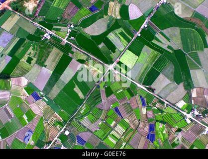 Nanning. Il 1 maggio, 2016. Foto scattata il 1 Maggio 2016 mostra le aziende agricole in Nanning, capitale del sud della Cina di Guangxi Zhuang Regione autonoma. © Huang Xiaobang/Xinhua/Alamy Live News Foto Stock