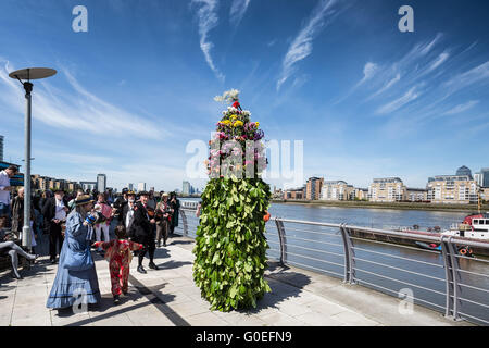 Londra, Regno Unito. Il 1 maggio 2016. La truppa Fowlers Jack nel verde della processione il giorno di maggio da Deptford a Greenwich. Originariamente da membri di Blackheath Morris uomini nei primi anni ottanta si rilancia il martinetto nel verde ha origini da circa 1906, e continua la sua celebrazione annuale marzo a partire al di fuori il cane e la campana pub in Deptford marciando attraverso Greenwich, a sud-est di Londra. Credito: Guy Corbishley/Alamy Live News Foto Stock