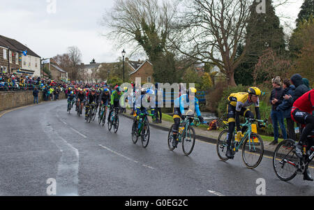 Grande Ayton, North Yorkshire, Regno Unito, 1 maggio 2016. In una piovosa mattinata, curiosi guarda il peloton principale nella fase 3 del 2016 Tour de Yorkshire corsa attraverso il villaggio. Credito: Julie friggitrice/Alamy Live News Foto Stock