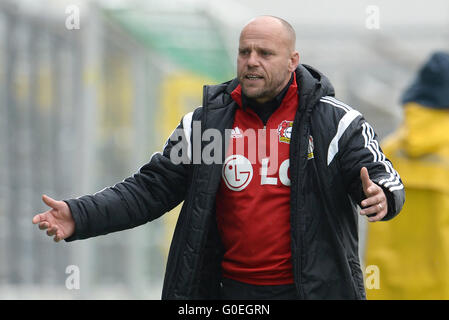 Monaco di Baviera, Germania. 01 Maggio, 2016. Leverkusen allenatore Thomas Obliers gesti al Tedesco donne Bundesliga della partita di calcio tra il Bayern Monaco e Bayer Leverkusen in Monaco di Baviera, Germania, 01 maggio 2016. Foto: ANDREAS GEBERT/dpa/Alamy Live News Foto Stock