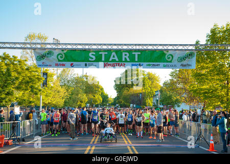 Eugene, OR, Stati Uniti d'America. Il 1 maggio, 2016. I corridori pronti alla linea di partenza per il 2016 Eugene Marathon una USATF sancita Boston il qualificatore di Eugene O. Joshua Rainey/Alamy Live News Foto Stock