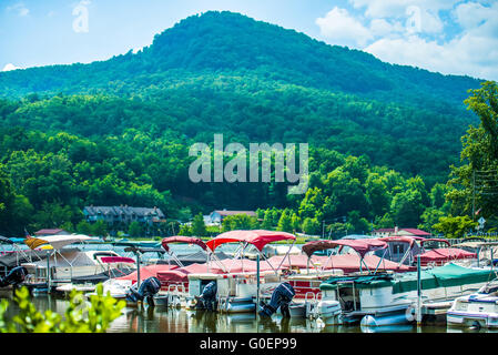 Paesaggio intorno al lago di esca carolina del Nord Foto Stock