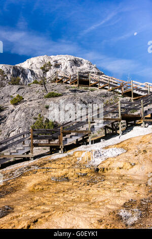 Mammoth Hot Springs Boardwalk Foto Stock