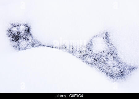 I cristalli di ghiaccio in snow, Lapponia, Svezia Foto Stock