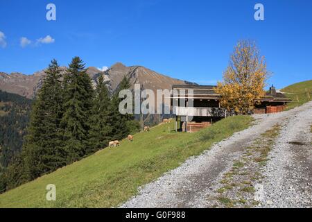 Autunno rurale scena vicino a Gstaad Foto Stock