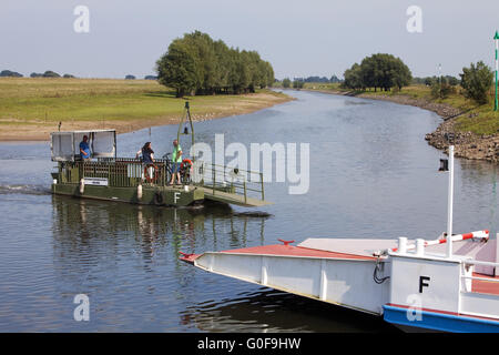 Traghetto per bicicletta sul vecchio Reno, Dueffelward, Kleve Foto Stock