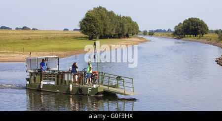 Traghetto per bicicletta sul vecchio Reno, Dueffelward, Kleve Foto Stock