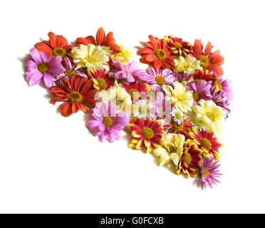 Cuore di fiori Foto Stock