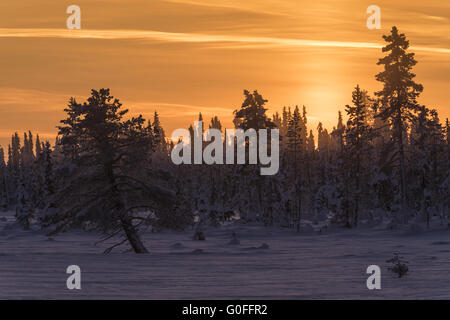 Paesaggio wintery nel crepuscolo, Lapponia, Svezia Foto Stock