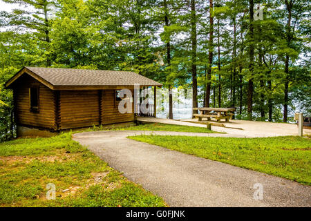 Log Cabin circondato da foresta a lake santeetlah Carolina del nord Stati uniti d'America Foto Stock