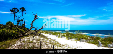 Scene di natura intorno a caccia island Carolina del Sud Foto Stock