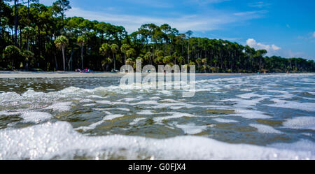 Scene di natura intorno a caccia island Carolina del Sud Foto Stock