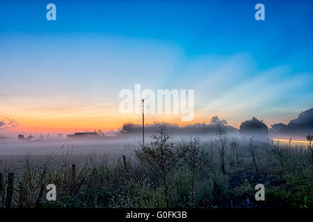 Inizio alba foggy farm paesaggio in rock hill Carolina del Sud Foto Stock