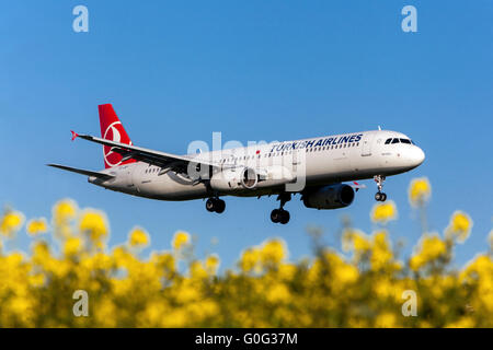 Compagnie aeree turche Aereo Airbus A321 in avvicinamento per un atterraggio, campo di colza Praga, Repubblica Ceca Foto Stock