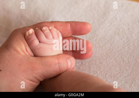 Piede neonato in mano di un adulto - close-up Foto Stock