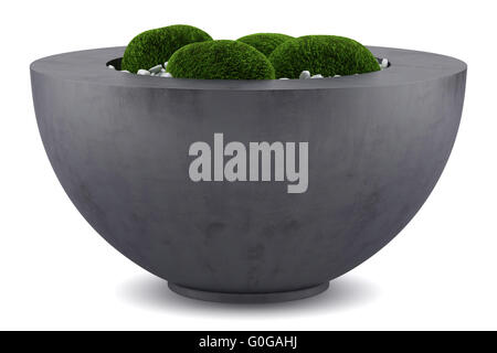 Moss pot isolati su sfondo bianco Foto Stock