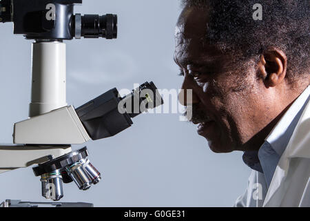 Microbiologo guardando attraverso il microscopio Foto Stock