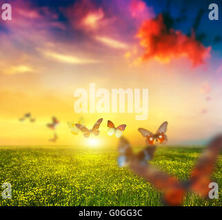 Colorful butterflies flying over spring meadow with flowers. Butterfly group fly towards sun at sunset. Foto Stock