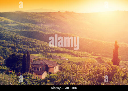 Vigneto e farm house, villa in Toscana, Italia al tramonto Foto Stock