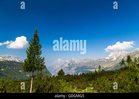 Un panorama alpino in un giorno di estate in Italia Foto Stock