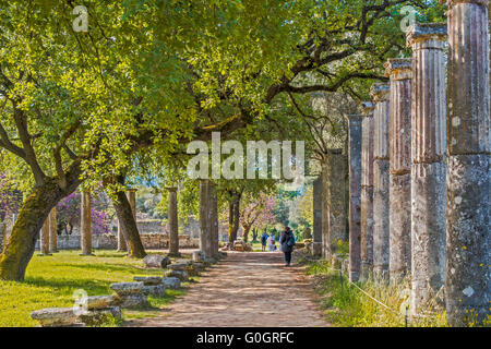 Parte dei resti del Palaistra Antica Olympia Peloponissos Grecia Foto Stock