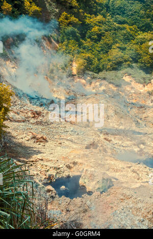 Area vulcanica Mount Soufriere Saint Lucia West Indies Foto Stock