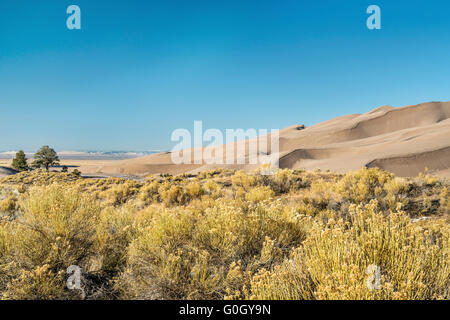 Calma inverno mattina a Great Sand Dunes National Park in Colorado Foto Stock