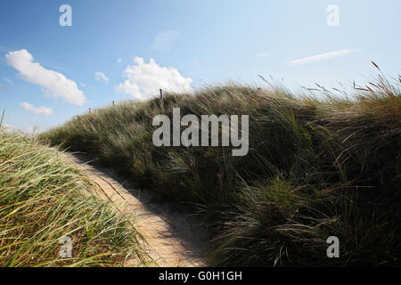 Sentiero attraverso le dune Foto Stock