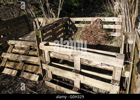 Scomparti di compost realizzato dal vecchio pallet Foto Stock