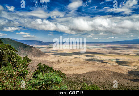 Vista dal cerchio all'interno del cratere di Ngorongoro, Ngorongoro Conservation Area, sito patrimonio mondiale dell'UNESCO, Tanzania Africa Foto Stock