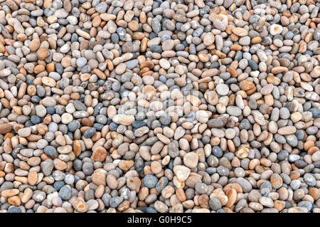 Un letto di arrotondati pietrina colorata e ciottoli chert a Chesil Beach quasi interamente composto da molto duro e quarzo calcedonio Foto Stock