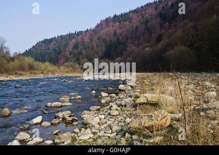 Spring Mountain fiume Prut in Ucraina dei Carpazi Foto Stock