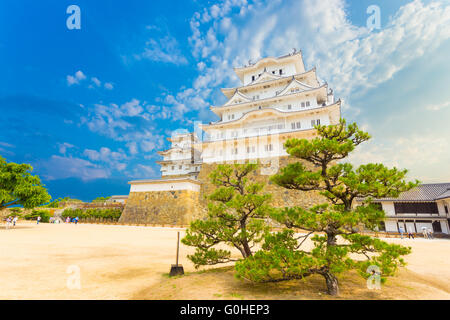 Himeji jo Castello Base albero di mantenere il cantiere Blue Sky H Foto Stock