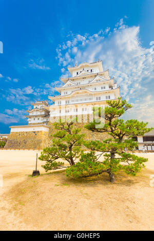 Himeji jo Castello Fortezza di base Tree Blue Sky V Foto Stock