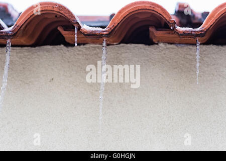 Lunghi ghiaccioli appesi Foto Stock