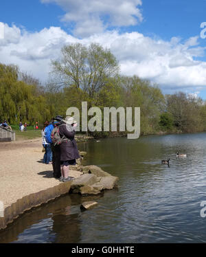 Le riprese di anatre nel parco, donna matura in una giornata di sole, che indossa un cappotto di grandi dimensioni a fotografare le anatre nel parco, 30 aprile 2016 Foto Stock