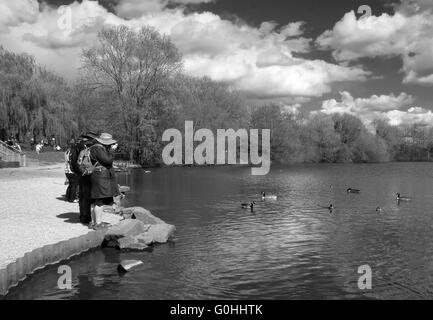 Le riprese di anatre nel parco, donna matura in una giornata di sole, che indossa un cappotto di grandi dimensioni a fotografare le anatre nel parco, 30 aprile 2016 Foto Stock