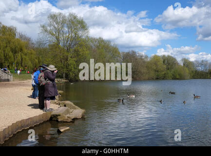 Le riprese di anatre nel parco, donna matura in una giornata di sole, che indossa un cappotto di grandi dimensioni a fotografare le anatre nel parco, 30 aprile 2016 Foto Stock