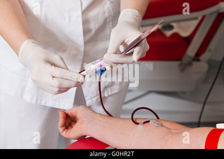 Il sangue dalle donazioni di sangue in laboratorio del sangue Foto Stock