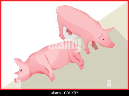 Maiale isometrica vettore piana 3d Illustrazione Vettoriale