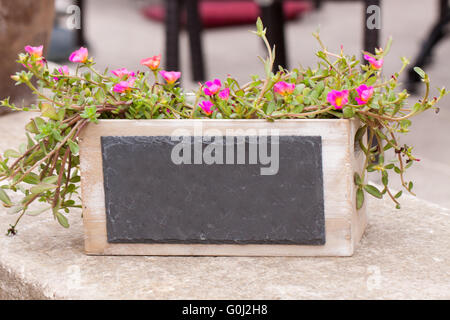Piccolo copyspace lavagna in fiore decorativo pot outdoor Foto Stock