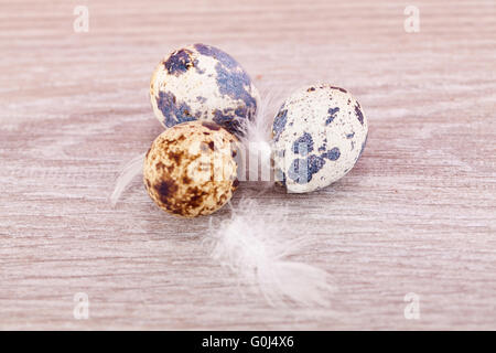 Decorazione di pasqua con uova di quaglia su legno Foto Stock