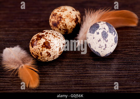 Decorazione di pasqua con uova di quaglia su legno Foto Stock