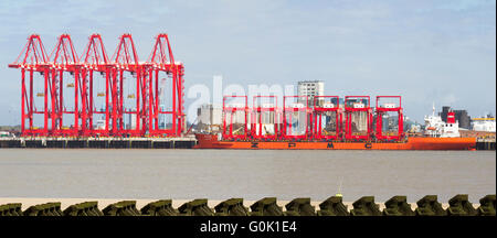 Gru a portale a sbalzo (CRMG) montate su guida a Liverpool, Merseyside, Regno Unito 2 maggio 2016. Le gru cinesi in acciaio arrivano nel Mersey. La nave Zhen Hua si è staccata da un molo di Nantong, in Cina, trasportando sei gru che saranno utilizzate nel progetto di costruzione di un terminale per contenitori in acque profonde Liverpool2 da 300 m £. Lo schema, guidato da Peel Ports, mira ad approfondire l'estuario della Mersey in modo da poter ospitare alcune delle barche più grandi del mondo. Un totale di otto gru ‘megamax’ da nave a riva e 22 gru a portale montate su rotaia a sbalzo vengono fornite ai Peel Ports come parte di Liverpool2. Foto Stock