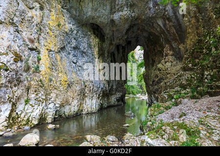 Gorges portale e in streaming in estate, Transilvania, Romania Foto Stock